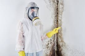 Forensic Mold Investigation in Greendale, WI